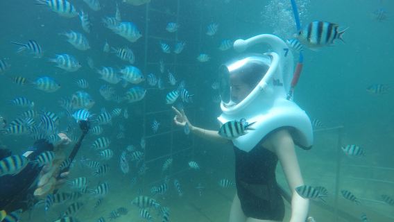 Cham Island Meeres-Spaziergang & Schnorcheln – Ganztägiger Spaß, Keine Besichtigung: Ab Da Nang oder Hoi An