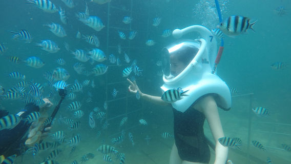 Hoi AnTours
