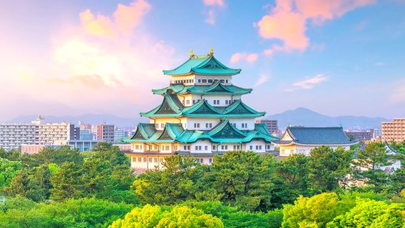 松本市日遊
