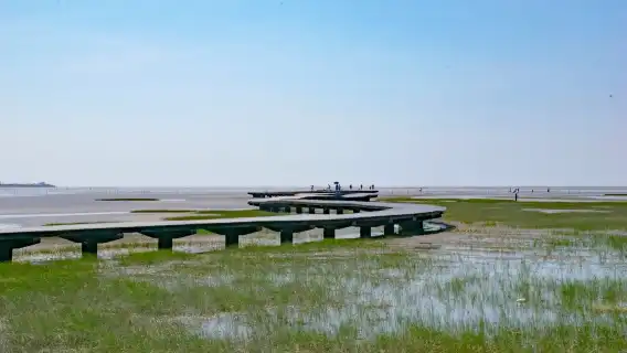 Gaomei Wetland + Miyahara Eye Clinic + Fengjia Night Market Day Tour [Depart from Taichung] Buy One Get One Free