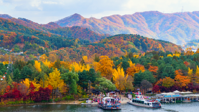 ชานเมืองโซล | ทัวร์ส่วนตัวเหมารถ | เกาะนามิ + โลกอัลปาก้า ทัวร์ 1 วัน