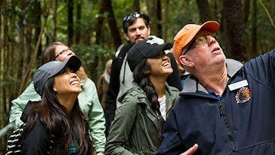 All-Inclusive Blue Mountains Small-Group Tour from Sydney