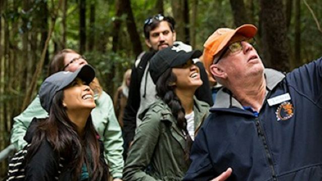 Blue Mountains: All-Inclusive Tour from Sydney with Sydney Zoo & Scenic World