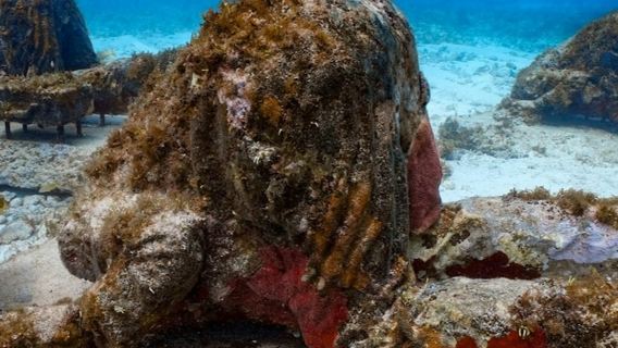 Bảo tàng Nghệ thuật Dưới nước Cancún và Rạn san hô Manchones: Tour lặn ngắm san hô