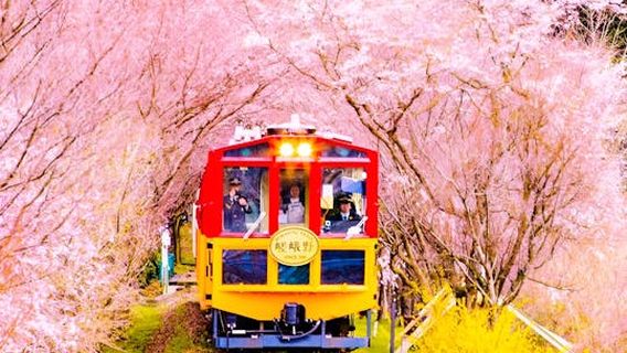 KyotoTours
