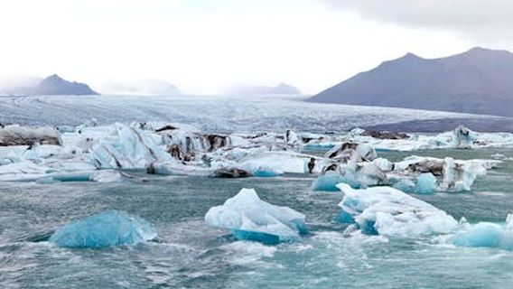 ReykjavikExperiences