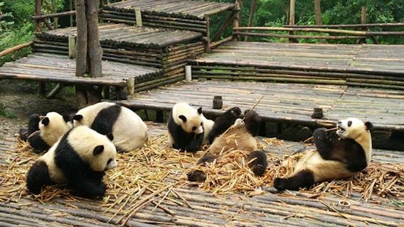 Chengdu