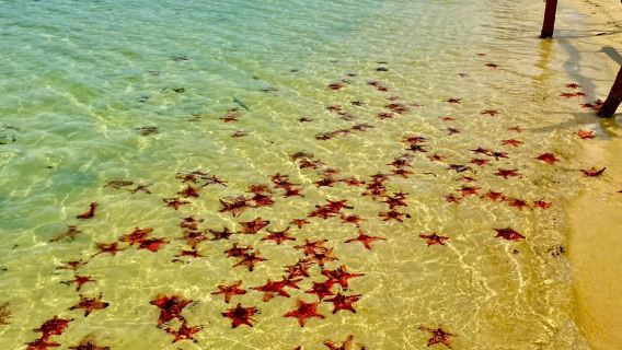 Phu Quoc 3 Islands Speedboat Tour: Mong Tay, Gam Ghi, May Rut Island