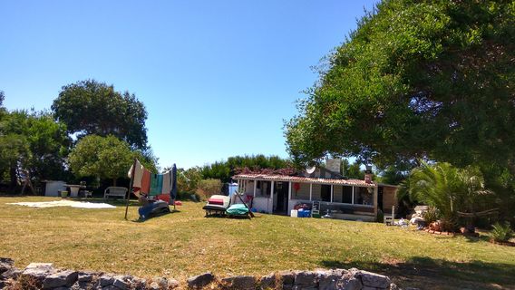 AveiroTours