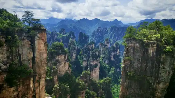 2 天私人包團:阿凡達山、玻璃橋、天門山及 VIP 百龍電梯