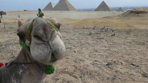Cairo
