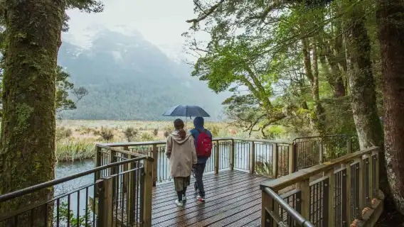Milford Sound coach tour and day cruise experience