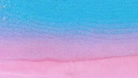 칸쿤데이 투어