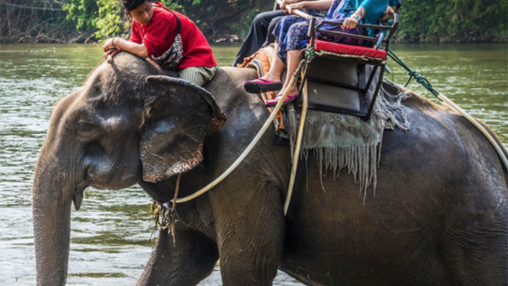 Pattaya Chang Thai Thappraya Safari Elephant Village|Elephant riding|ATV|Horseback riding|Live shooting|Off-road vehicle|Jungle flying