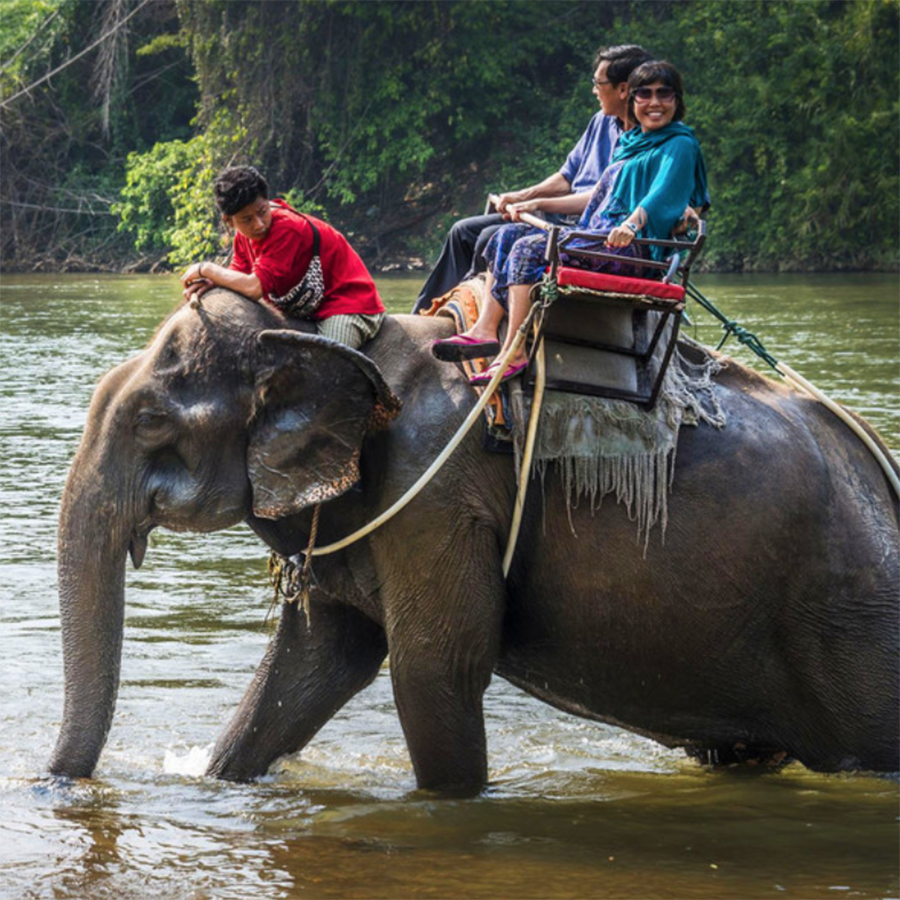 Pattaya Chang Thai Thappraya Safari Elephant Village|Elephant riding|ATV|Horseback riding|Live shooting|Off-road vehicle|Jungle flying