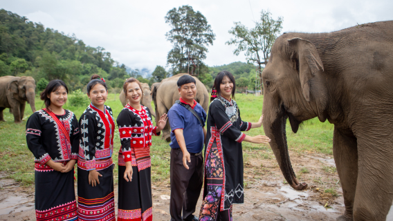 Officieel Chokchai Elephant Camp (directe boeking)|Olifantenervaringsactiviteiten