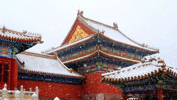 Beijing Palace Museum Ticket + 2-Hour In-Depth Guided Tour in English (Optional Galleries)