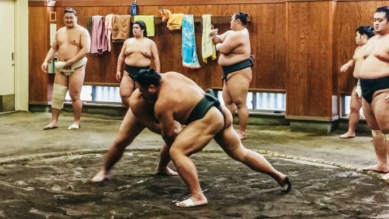 Tokyo: Kunjungan Latihan Sumo Pagi