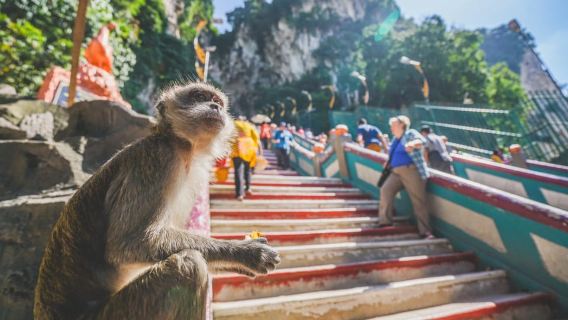 Private KL City Tour with Petronas Twin Towers & Batu Caves