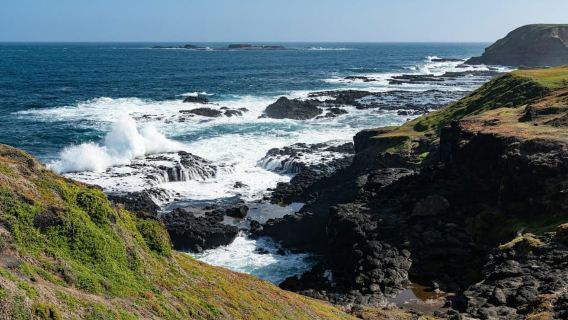Melbourne : Parade des pingouins et excursion panoramique d'une journée à Phillip Island