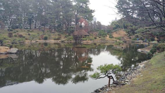 Hiroshima: Shukkei-en Garden with local guide 90min