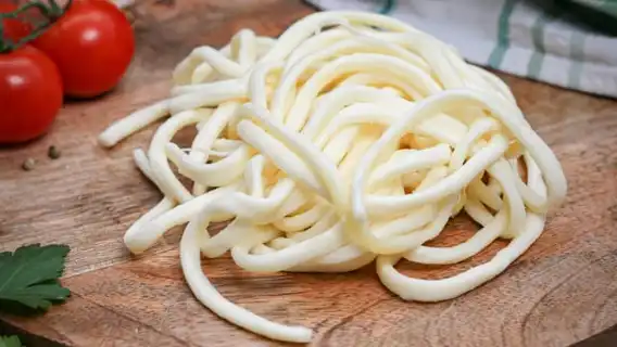 From Bratislava: Dracula Nosferatu - Orava Castle Day Tour