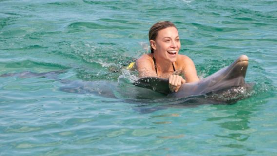 Punta Cana: Dolphin Royal Swim