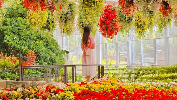 Gyeonggi-do, South Korea|Gapyeong Begonia Bird Park X Rail Bike X Garden of Morning Calm