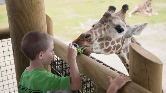 Columbus: Tiket Masuk Berbagai Atraksi