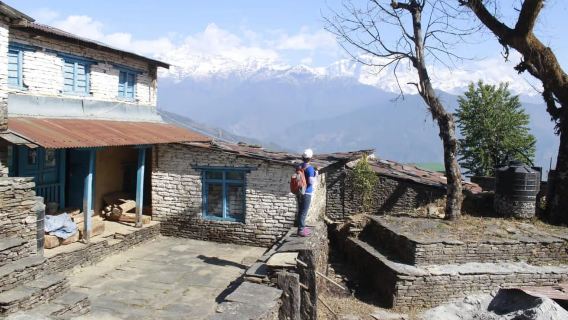 Pokhara: Đi bộ đường dài trong ngày đến Trại căn cứ Úc kèm bữa trưa