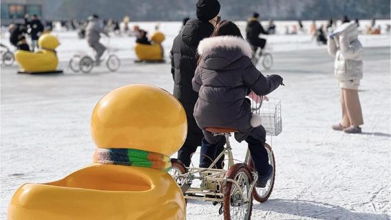 Seoul: Tour ngày mùa đông ở Pocheon kèm hoạt động hái dâu tây