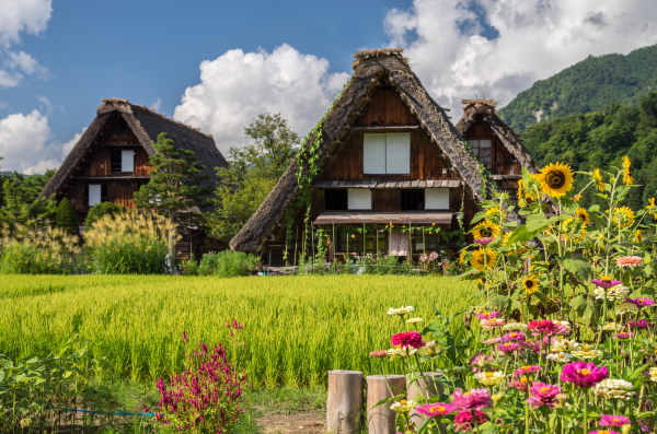 日本古鎮巡遊一日遊｜飛驒高地+郡上八幡+白川鄉合掌村