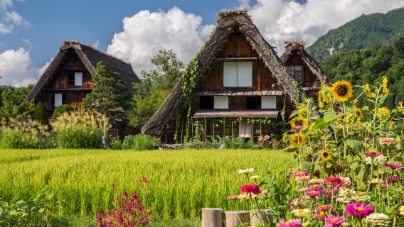 Yhden päivän kierros muinaisissa japanilaisissa kaupungeissa: Hida Highlands + Gunjo Hachiman + Shirakawa-go Gassho-zukurin kylä