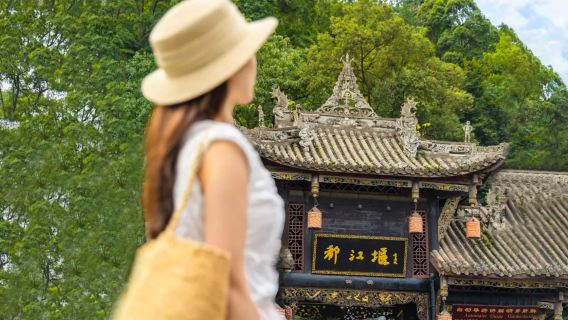 Panda Base + Dujiangyan Day Trip ◆ Small group tour (7 people or less) (English-speaking guide optional + Sichuan cuisine experience)