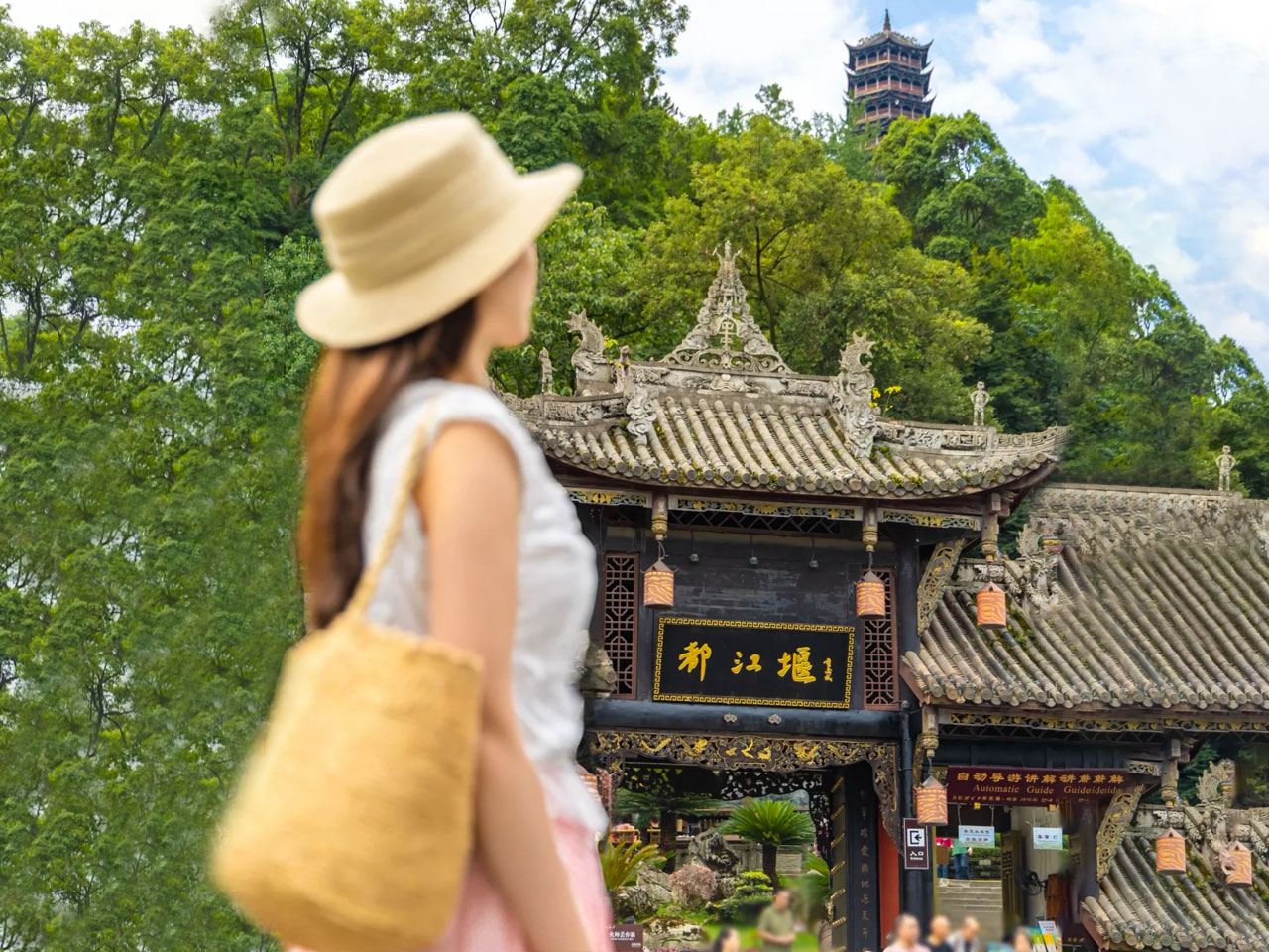 Panda-Basis + Dujiangyan Tagesausflug [Ticket inklusive | Optionale Sichuan-Opera für 15 Personen • Blaue Tränen]