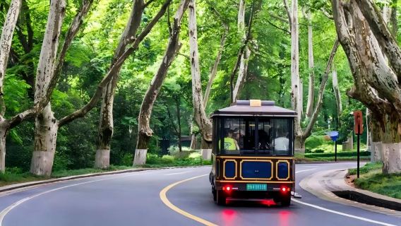 總統府|美齡宮|音樂台|中山陵景區|明孝陵梧桐|10人精品小團