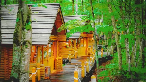 Excursión de un día al Zoológico de Asahiyama en Hokkaido + Estanque Azul + Terraza de los Duendes (incluye entrada al zoológico)