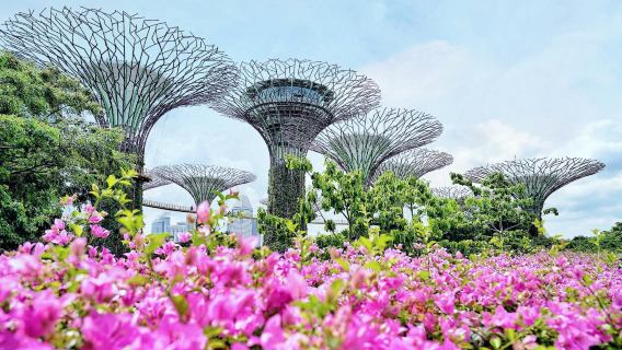 解鎖新加坡高光：從地標魚尾獅到度假聖淘沙，1日沉浸玩透核心