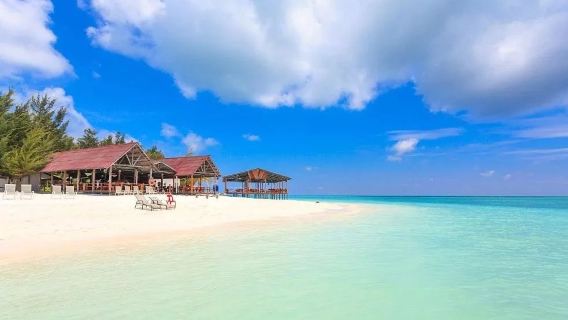 馬來西亞 亞庇 美人魚島二日遊|來看看色彩斑斕、美麗且形狀各異的魚群和珊瑚吧