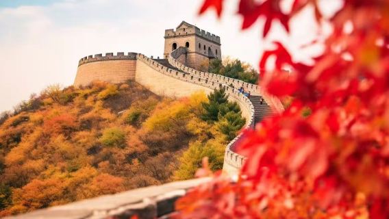 Excursión de un día a la Gran Muralla de Mutianyu en Pekín [elección de varios idiomas/recogida y traslado privado para familias]