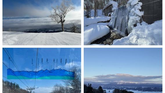 Nagano Area, Japan + Okushiga Kogen Ski Resort Private Door-to-Door Transfer / Flexible Itinerary