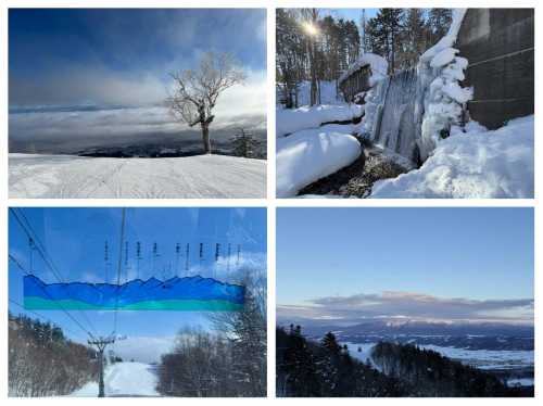 日本長野地區+志賀高原滑雪場專車上門接送/行程可調