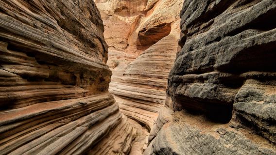 Yulin Wave Valley + Maowusu Desert + Tongwan City + Boluo Castle Day Tour with English Service