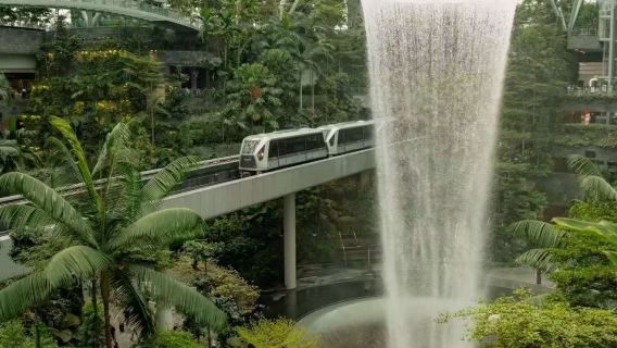 Singapore City 1-Day Tour (10-hr vehicle service/optional attractions) [Citywide pickup service]