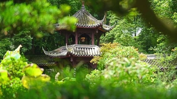 成都杜甫草堂：中文專業導遊講解，共赴詩韻人文之約