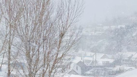威海新威-海上公園-看海看雪