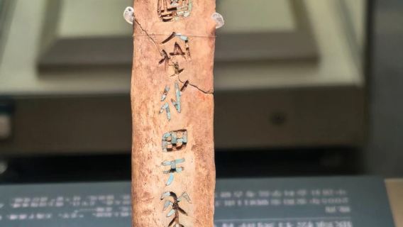 [Fun Yu Shuo] Panduan secara langsung oleh pakar selama 3 jam di Muzium Tapak Yin Anyang/pakej berkumpulan & lawatan peribadi | tidak termasuk tiket masuk