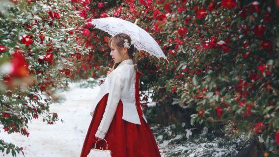 濟州島西南線／小羊肖恩＋山茶花之丘＋追海豚＋狹才海水浴場／市區接駁