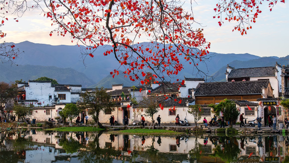 安徽全境︱合肥/銅陵/蕪湖/黃山/淮南/淮北/馬鞍山/亳州/蚌埠/滁州/宿州︱景區導覽/商務出行/旅遊陪同/考察