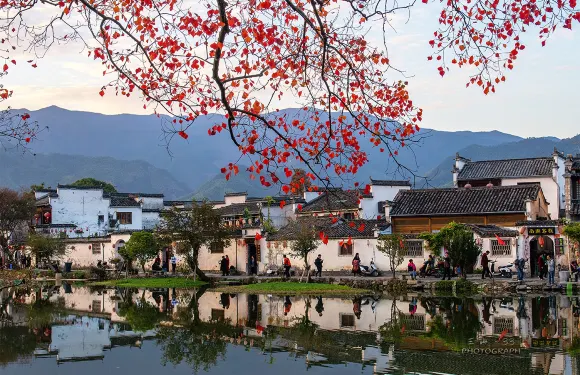 安徽全境︱合肥/銅陵/蕪湖/黃山/淮南/淮北/馬鞍山/亳州/蚌埠/滁州/宿州︱景區講解/商務出行/旅遊陪同/考察